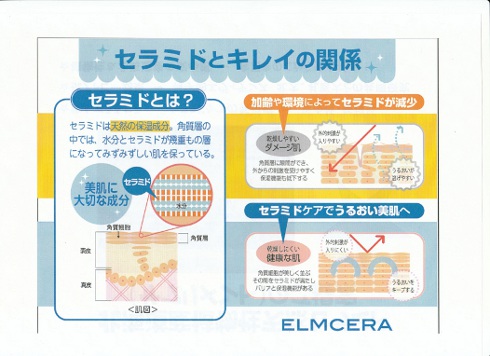 セラミドとキレイの関係